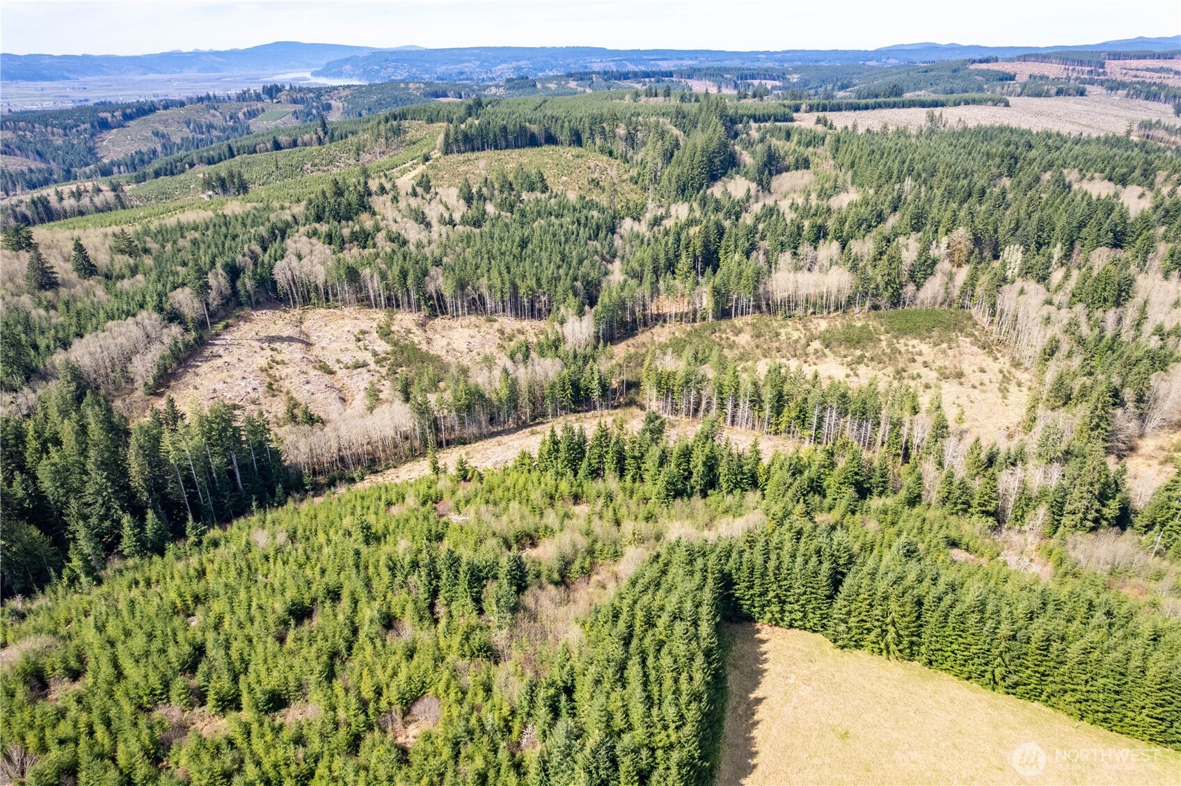 0 Eufaula Heights Road Longview, WA 98632 - Photo 12 of 17