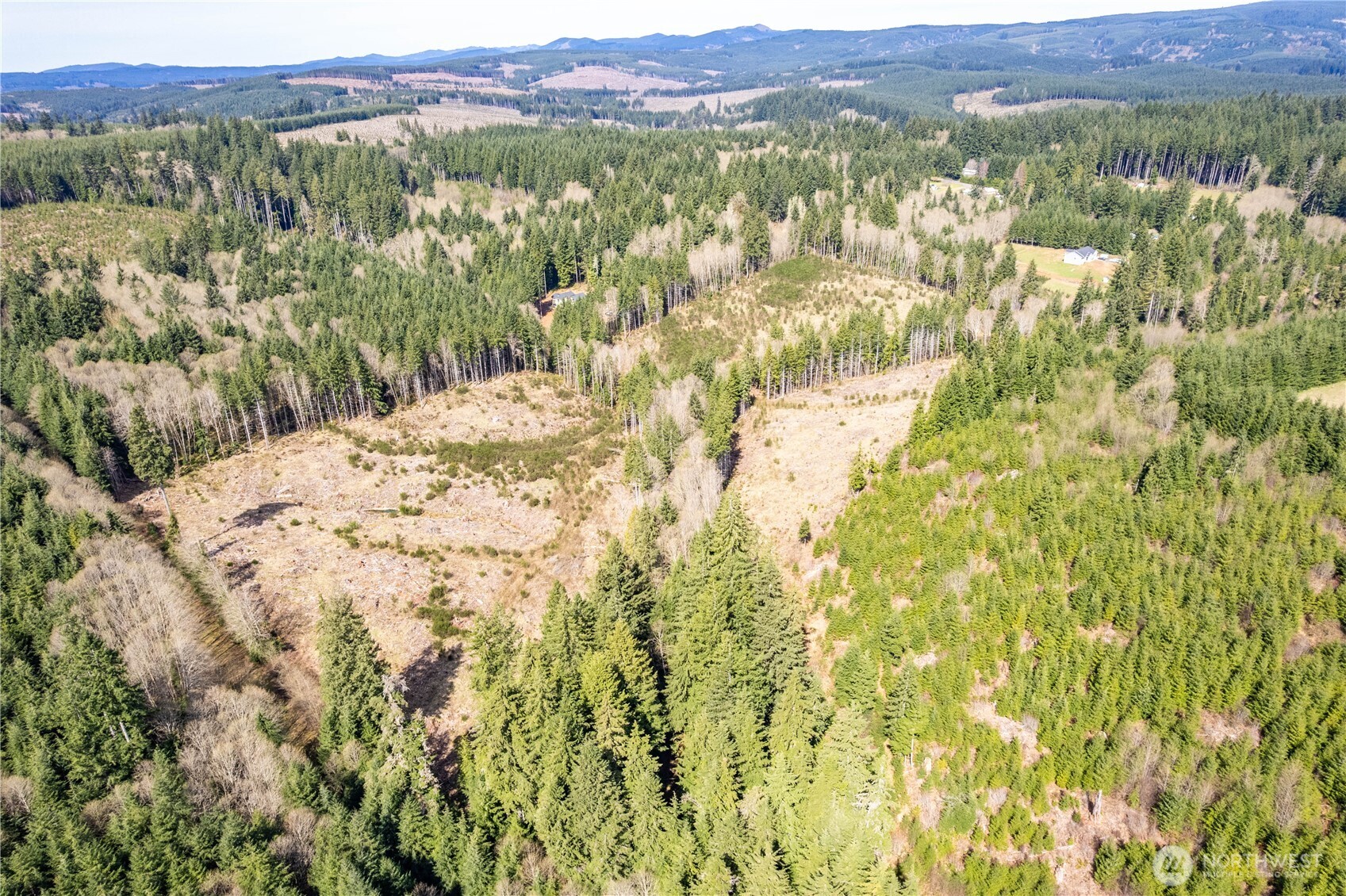 0 Eufaula Heights Road Longview, WA 98632 - Photo 13 of 17