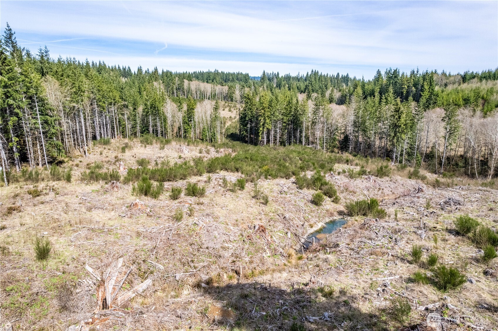 0 Eufaula Heights Road Longview, WA 98632 - Photo 17 of 17