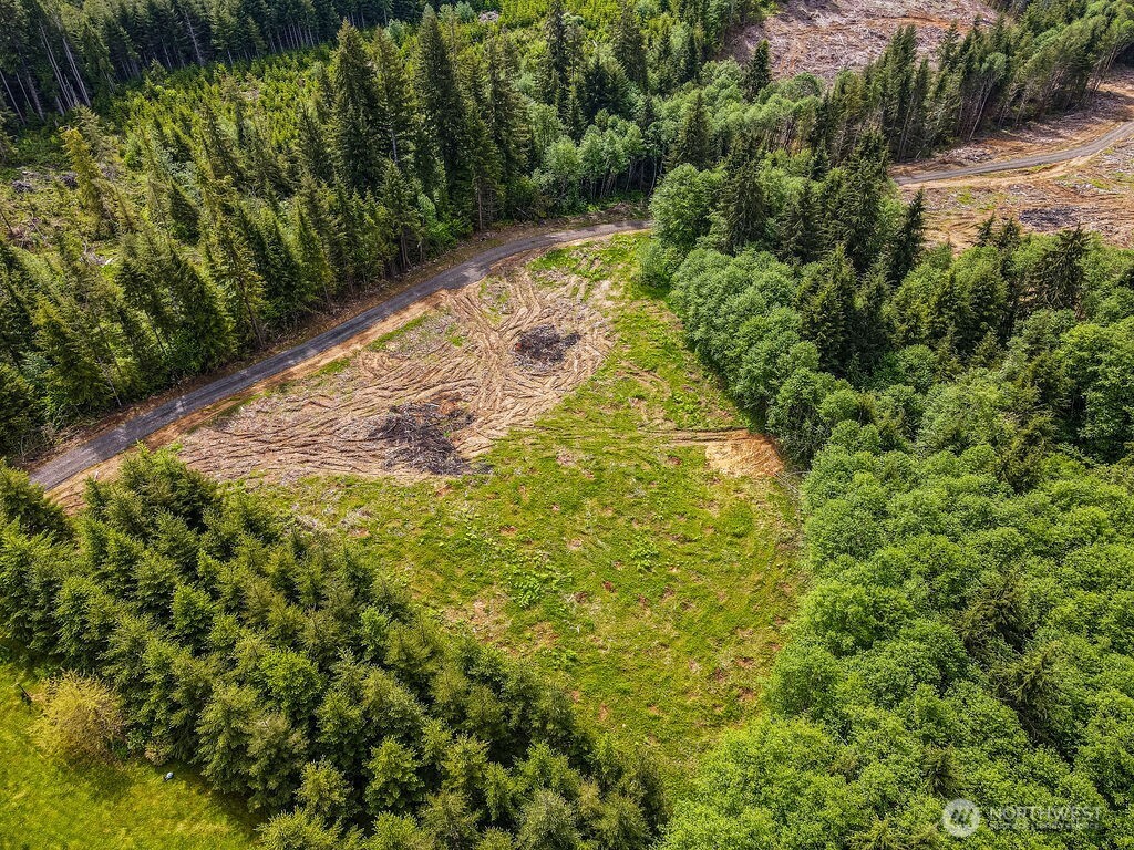 0 Eufaula Heights Road Longview, WA 98632 - Photo 4 of 17