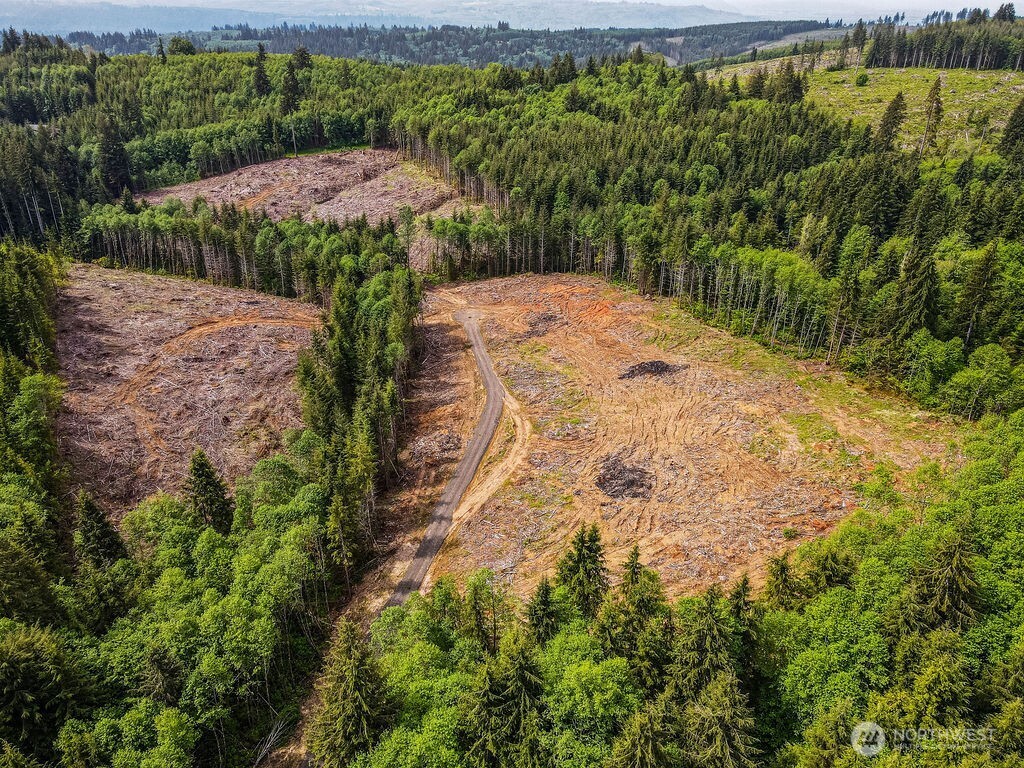 0 Eufaula Heights Road Longview, WA 98632 - Photo 5 of 17