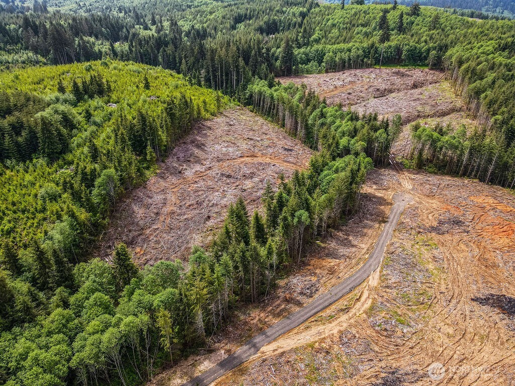 0 Eufaula Heights Road Longview, WA 98632 - Photo 6 of 17