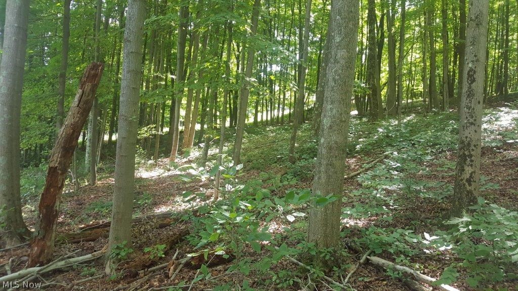 5846 Holmes Church Road Northeast New Philadelphia, OH 44663 - Photo 29 of 34