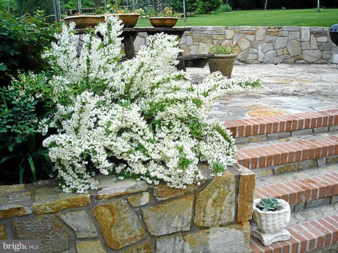 405 Garrison Forest Road Owings Mills, MD 21117 - Photo 22 of 27 Patio