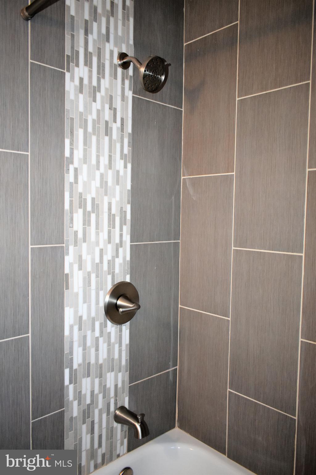8062 Wallace Road Baltimore, MD 21222 - Photo 15 of 20 Shower Mosaic