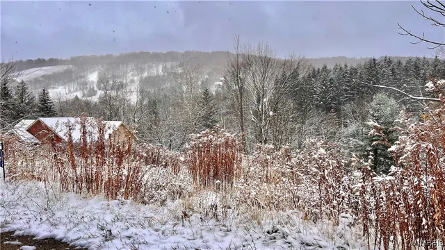 $129,000 | 6843 Springs Road, Ellicottville, NY 14731