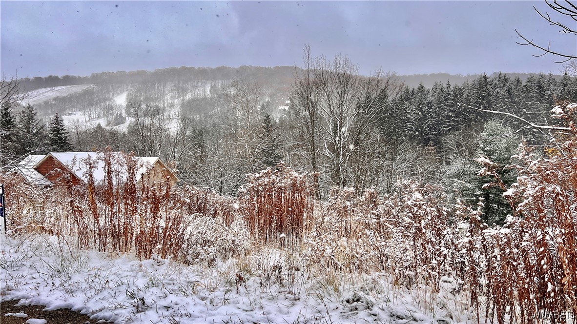 6843 Springs Road Ellicottville, NY 14731 - Photo 1 of 11