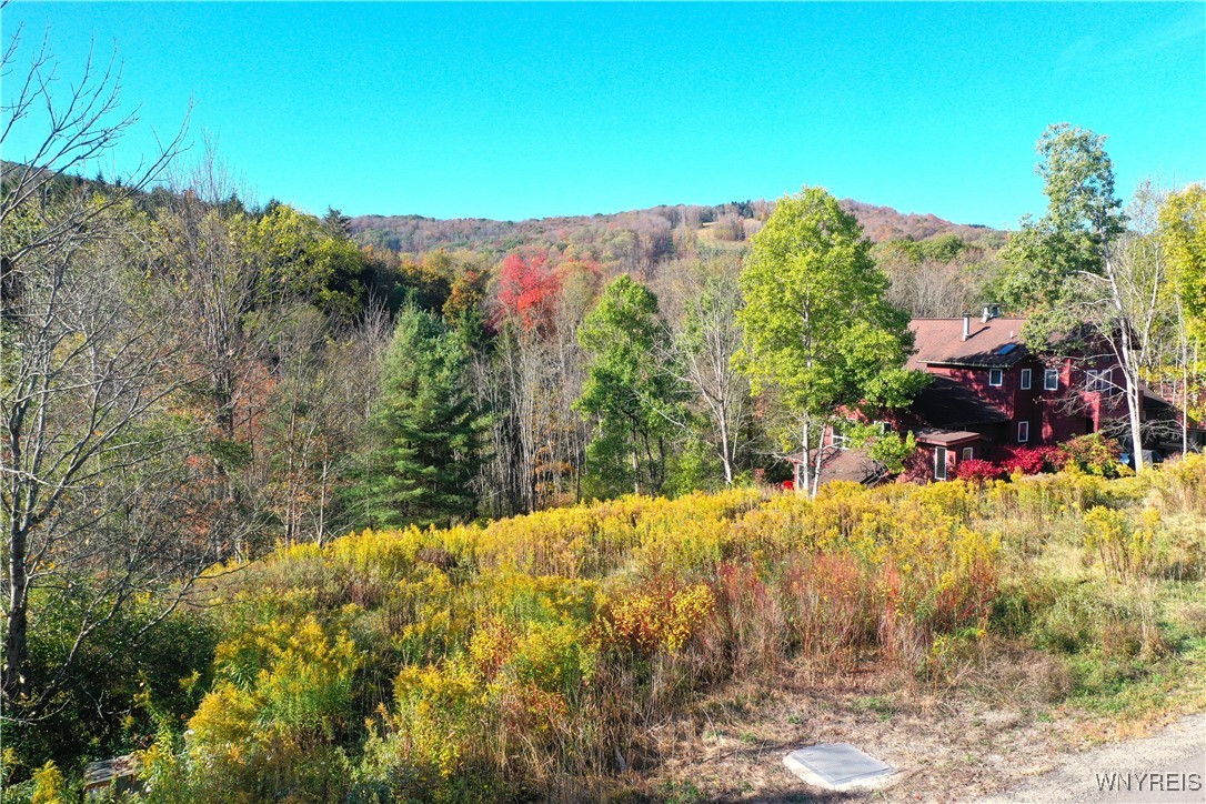 6843 Springs Road Ellicottville, NY 14731 - Photo 11 of 11