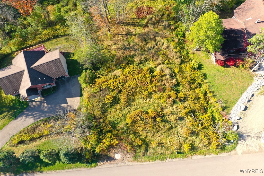 6843 Springs Road Ellicottville, NY 14731 - Photo 2 of 11