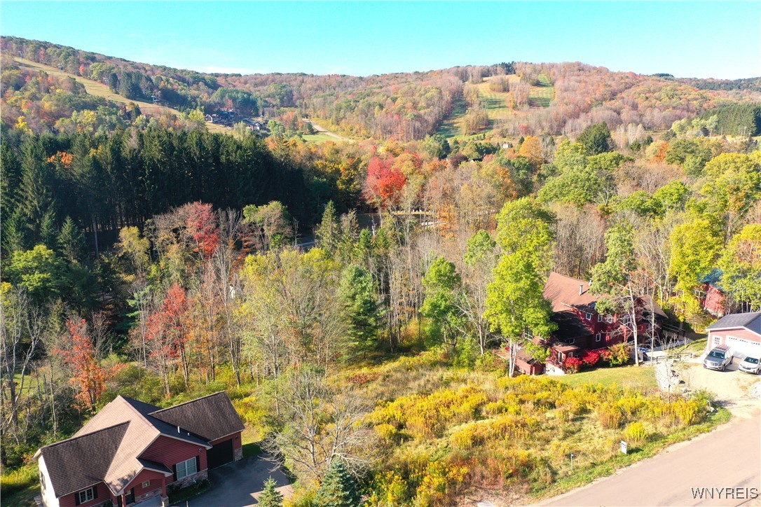 6843 Springs Road Ellicottville, NY 14731 - Photo 3 of 11