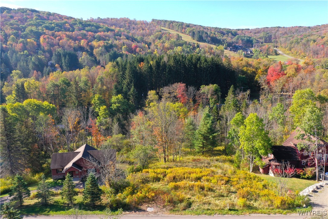 6843 Springs Road Ellicottville, NY 14731 - Photo 4 of 11