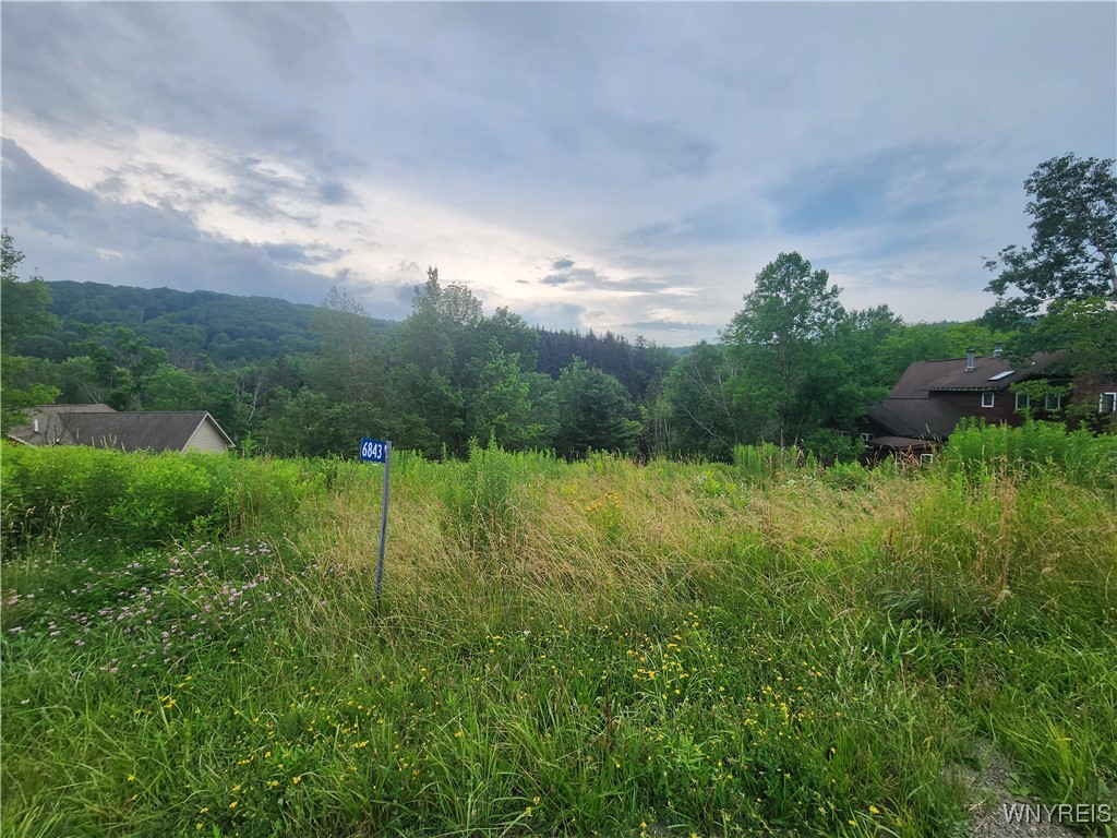 6843 Springs Road Ellicottville, NY 14731 - Photo 5 of 11