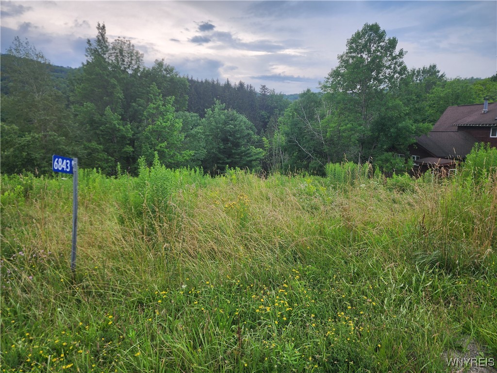 6843 Springs Road Ellicottville, NY 14731 - Photo 6 of 11