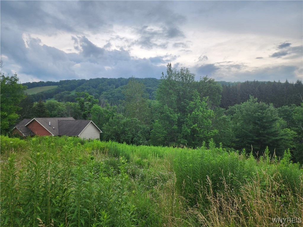 6843 Springs Road Ellicottville, NY 14731 - Photo 7 of 11