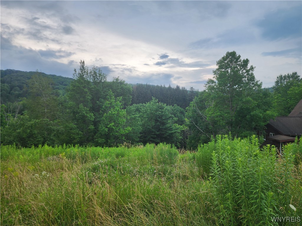 6843 Springs Road Ellicottville, NY 14731 - Photo 8 of 11