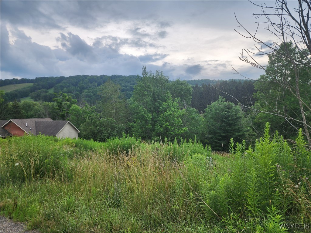 6843 Springs Road Ellicottville, NY 14731 - Photo 10 of 11