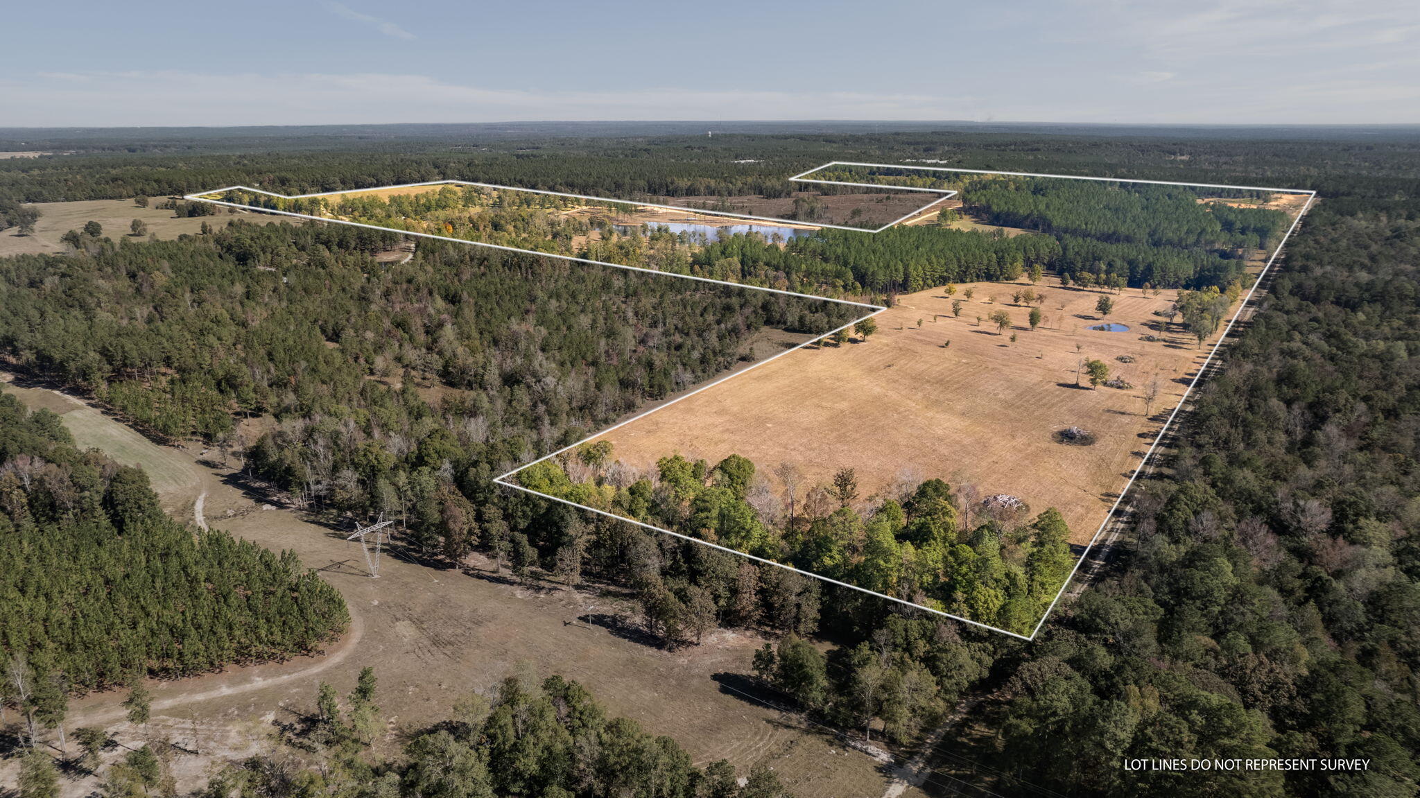 363 Rockhill To Lumberton Road Purvis, MS 39475 - Photo 2 of 71 Gallery Image 2
