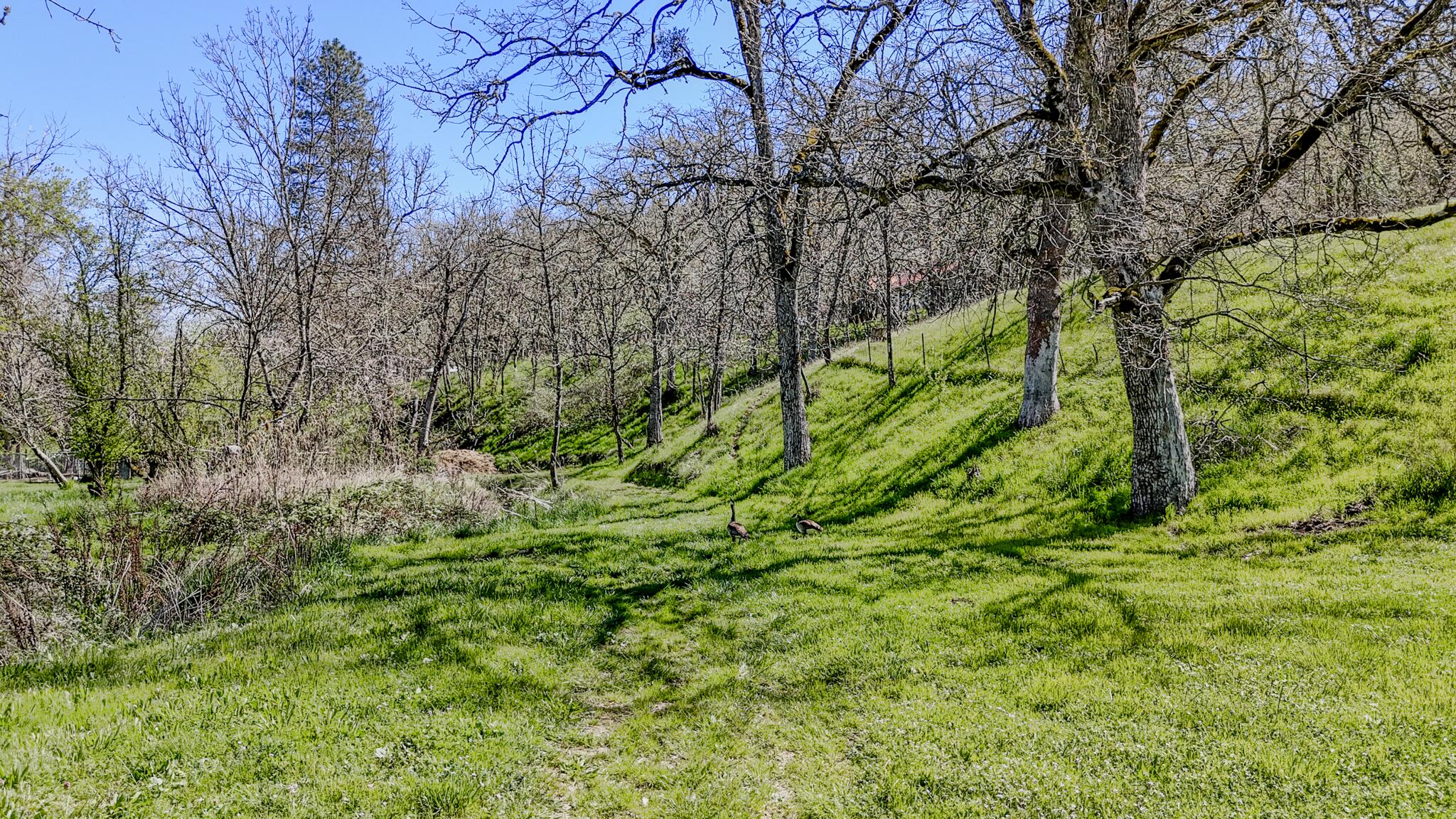 4131 West Griffin Creek Road Medford, OR 97501 - Photo 39 of 41 DJI_20260328033352_0697_D-HDR