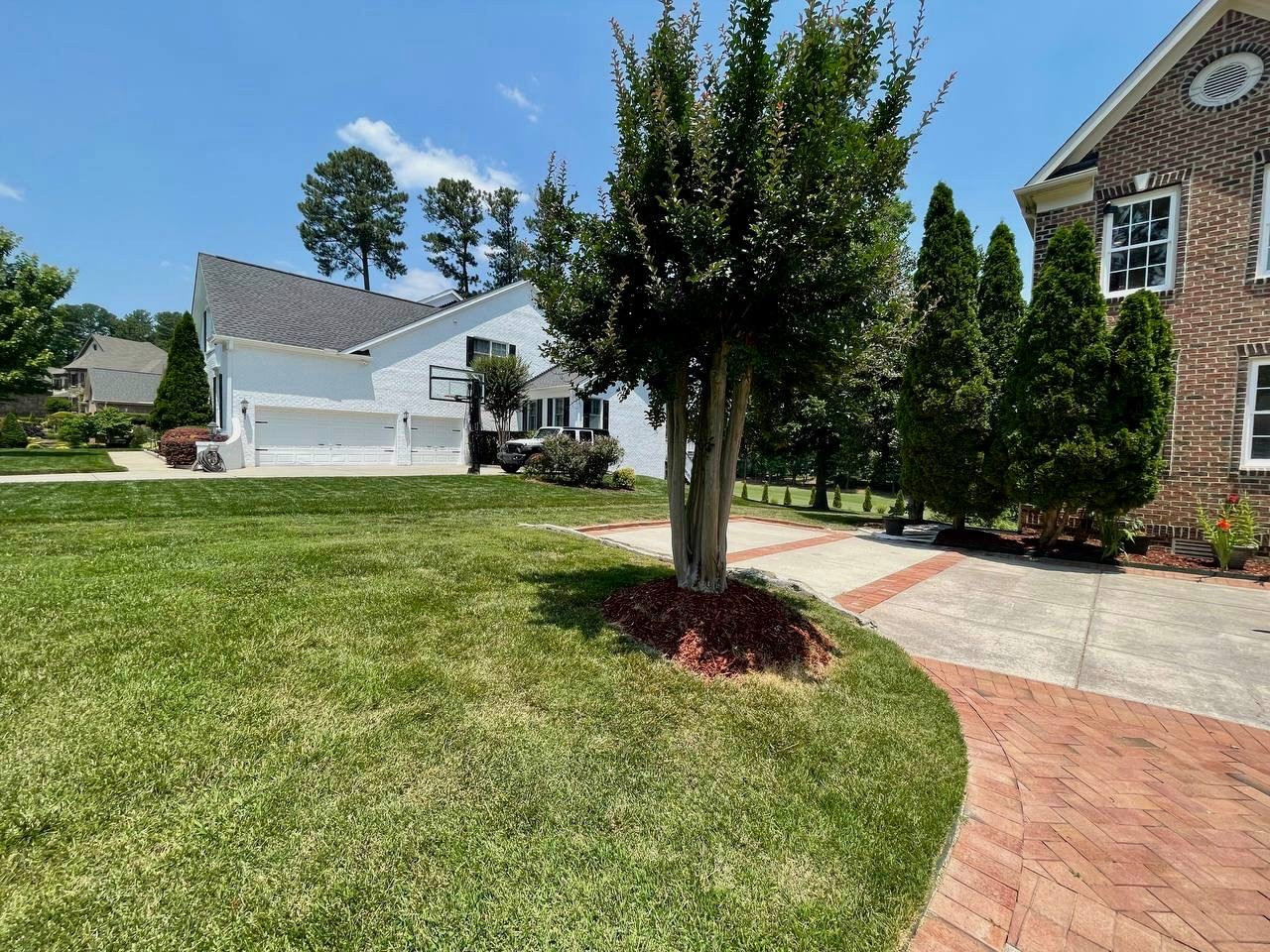 9208 Winged Thistle Court Raleigh, NC 27617 - Photo 6 of 97 Photo 8