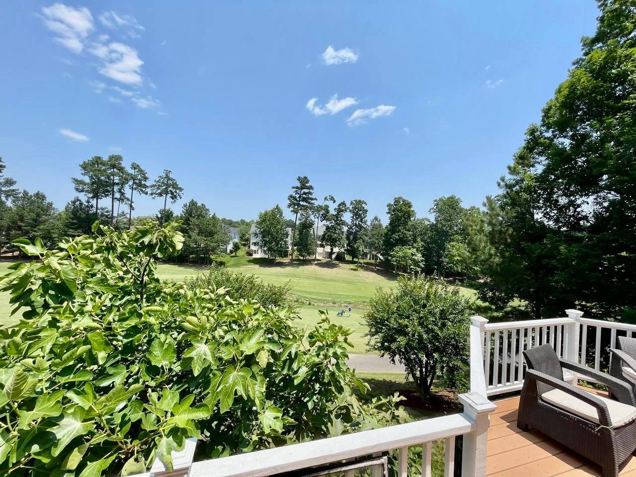 9208 Winged Thistle Court Raleigh, NC 27617 - Photo 65 of 97 Photo 67