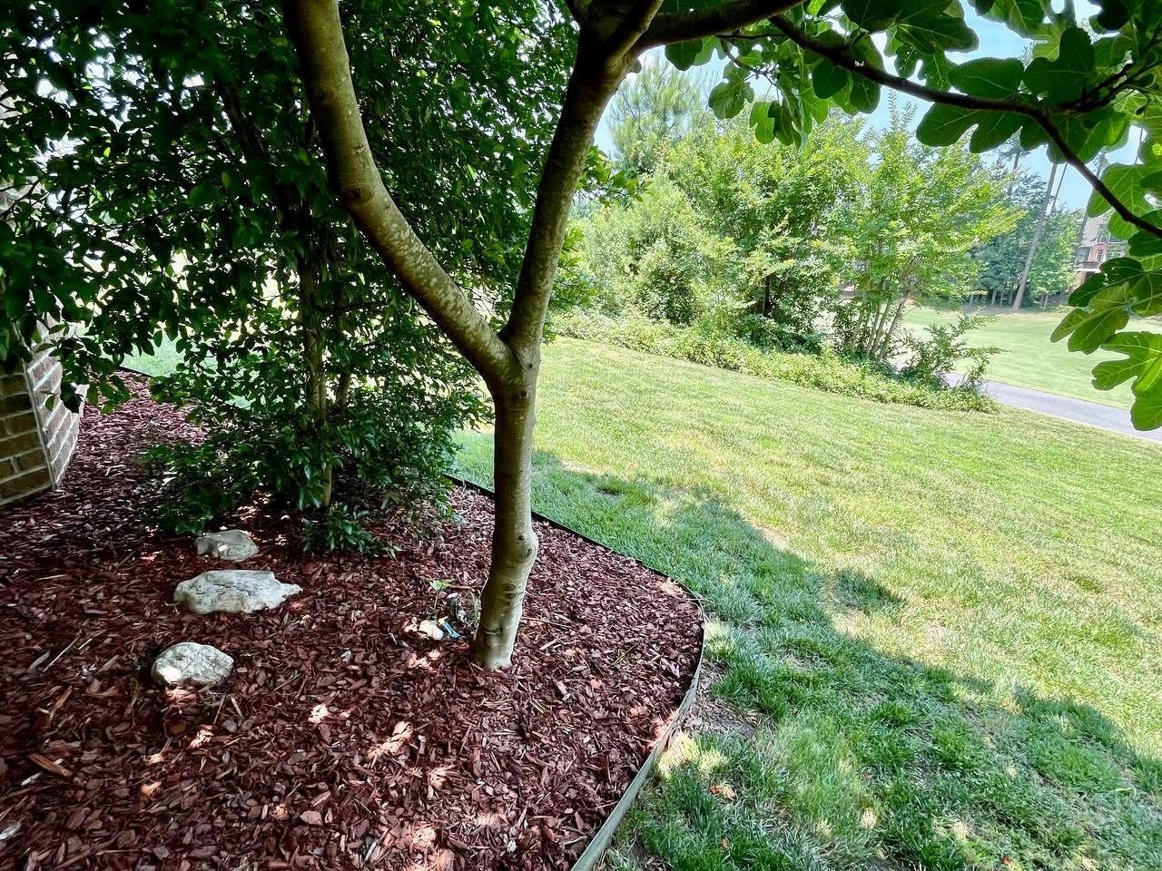 9208 Winged Thistle Court Raleigh, NC 27617 - Photo 95 of 97 Photo 97
