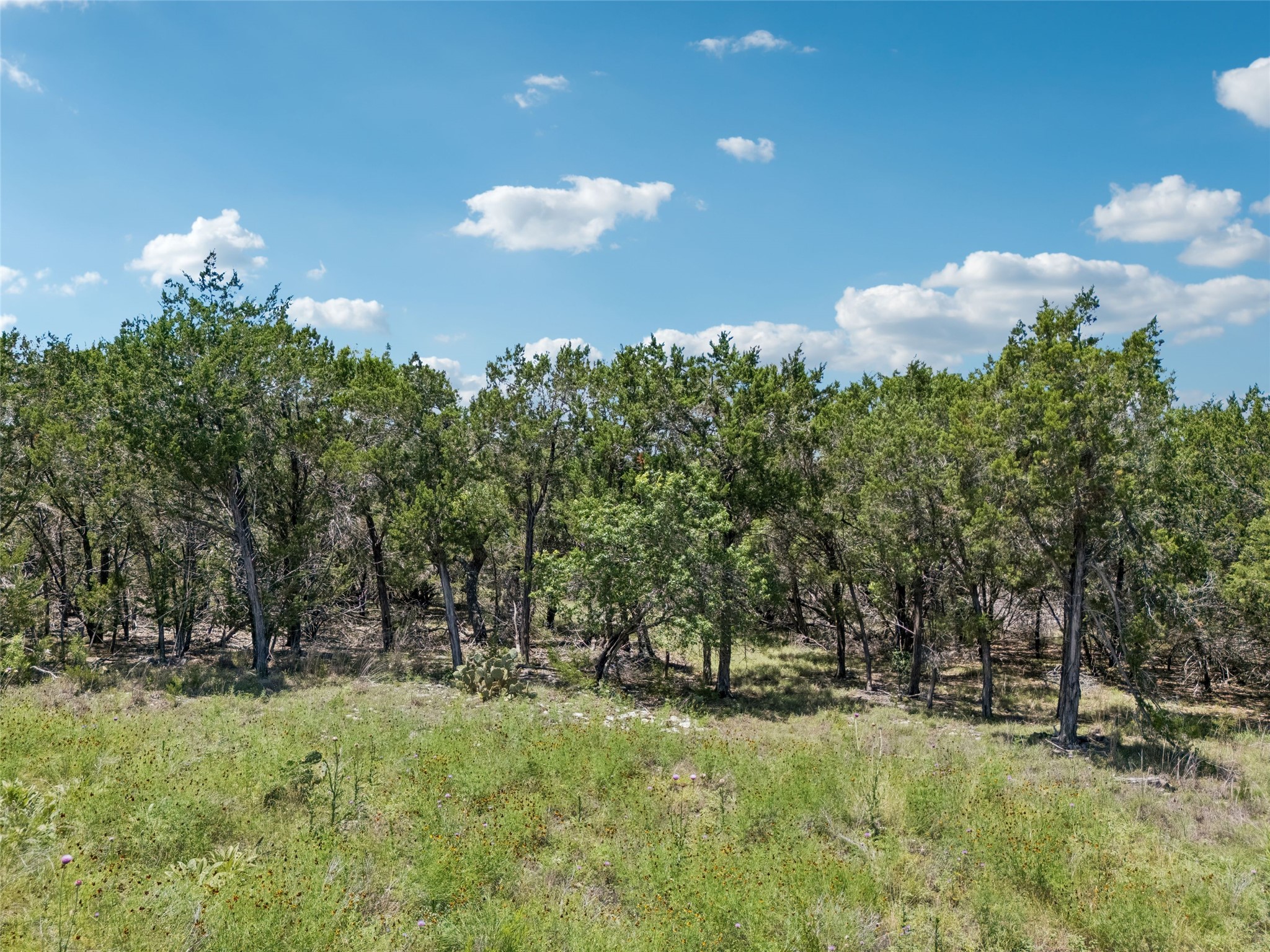 Tbd South Rainbow Ranch Road Wimberley, TX 78676 - Photo 14 of 17