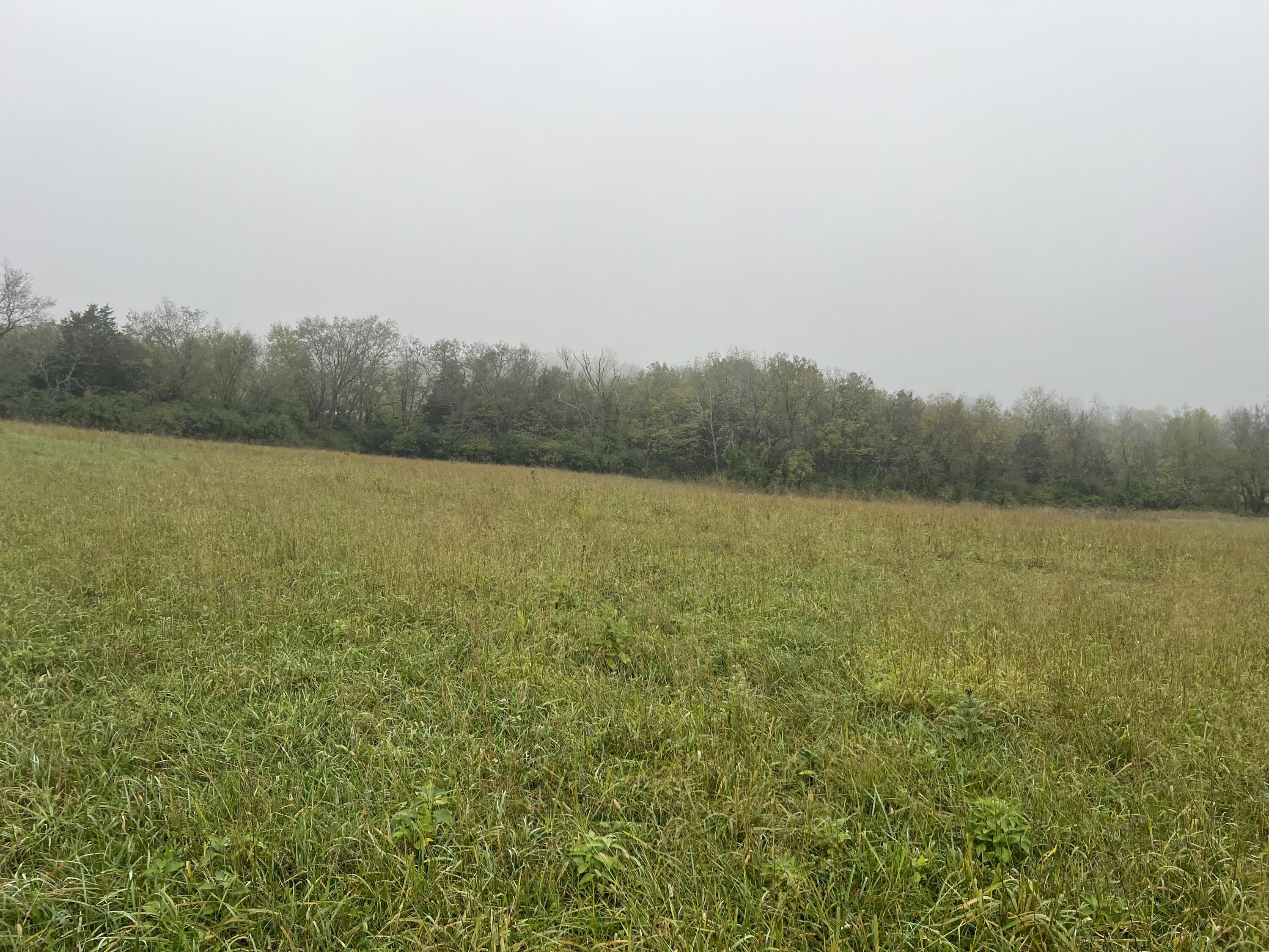475 Curd Lane Versailles, KY 40383 - Photo 6 of 15 IMG_3421