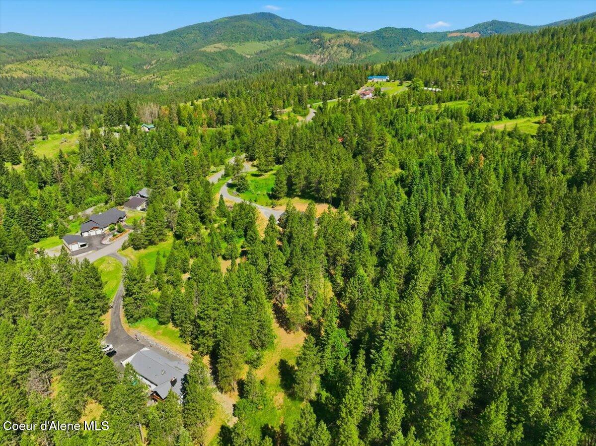 Nka North Saddle Ridge Road Rathdrum, ID 83858 - Photo 11 of 12 11-NKA N Saddle Ridge Rd_RedHogMedia