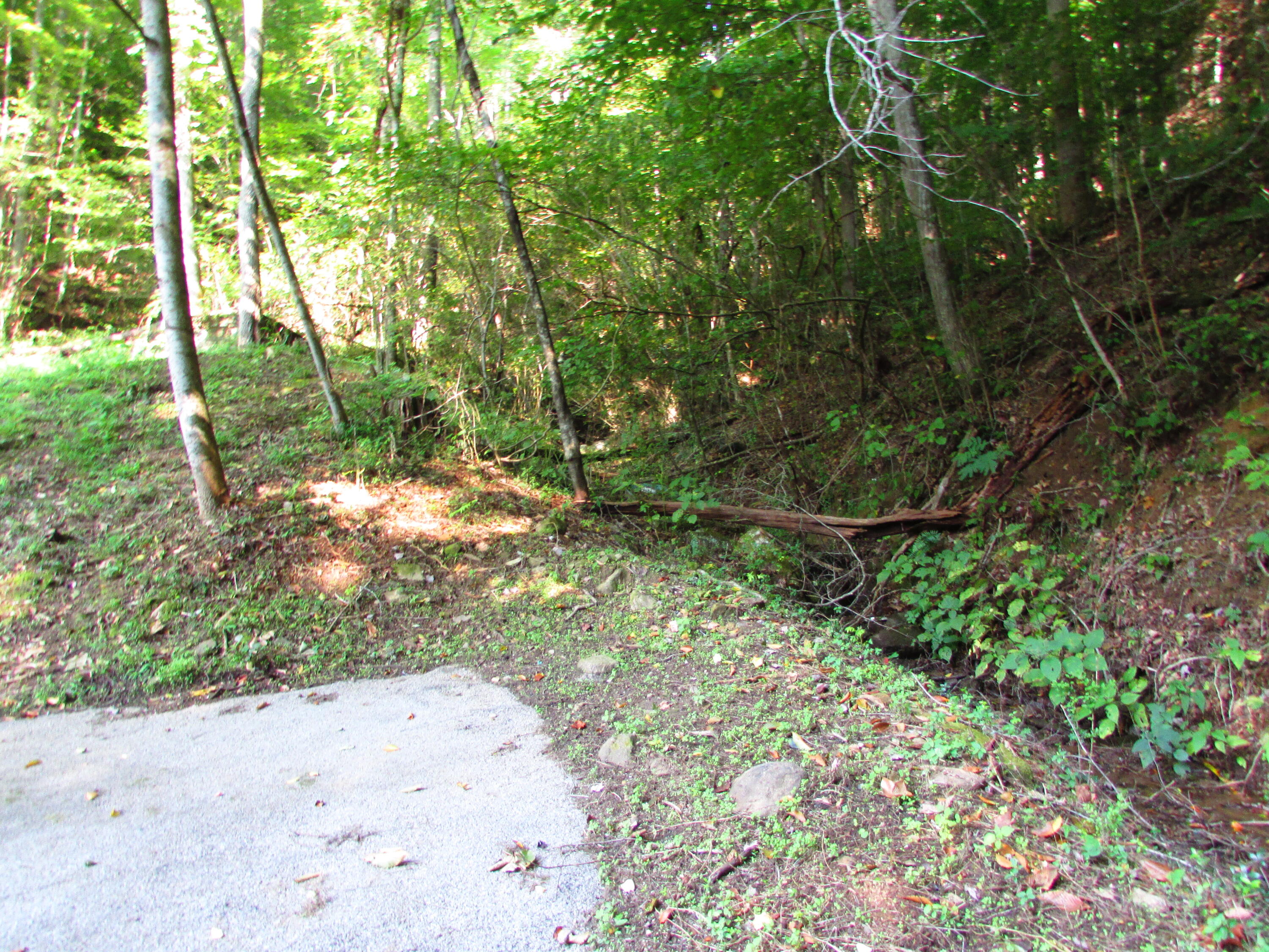 180 Simerly Creek Road Hampton, TN 37658 - Photo 16 of 22 180 simerly creek road, hampton tn 37658