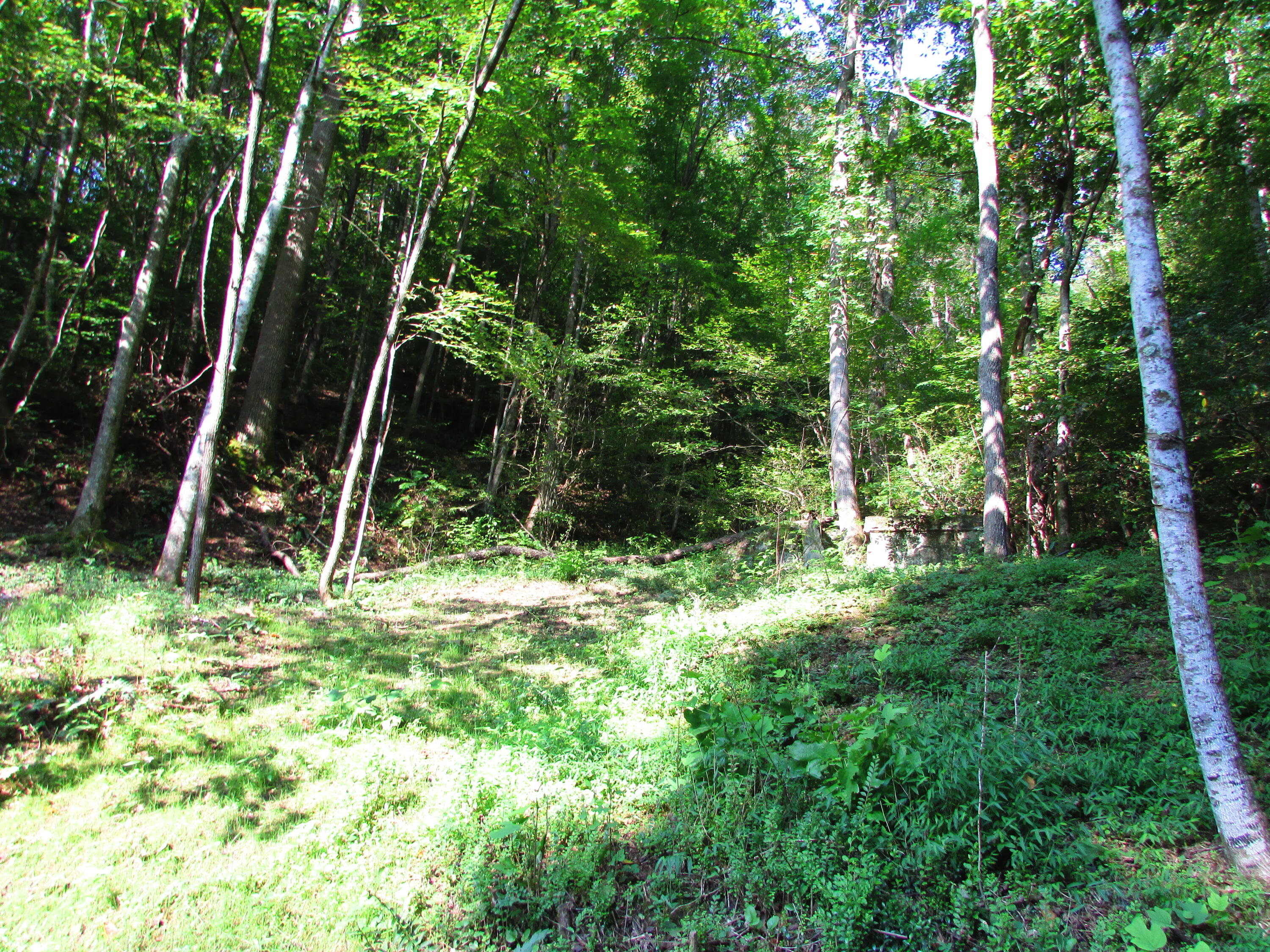 180 Simerly Creek Road Hampton, TN 37658 - Photo 17 of 22 180 simerly creek road, hampton tn 37658