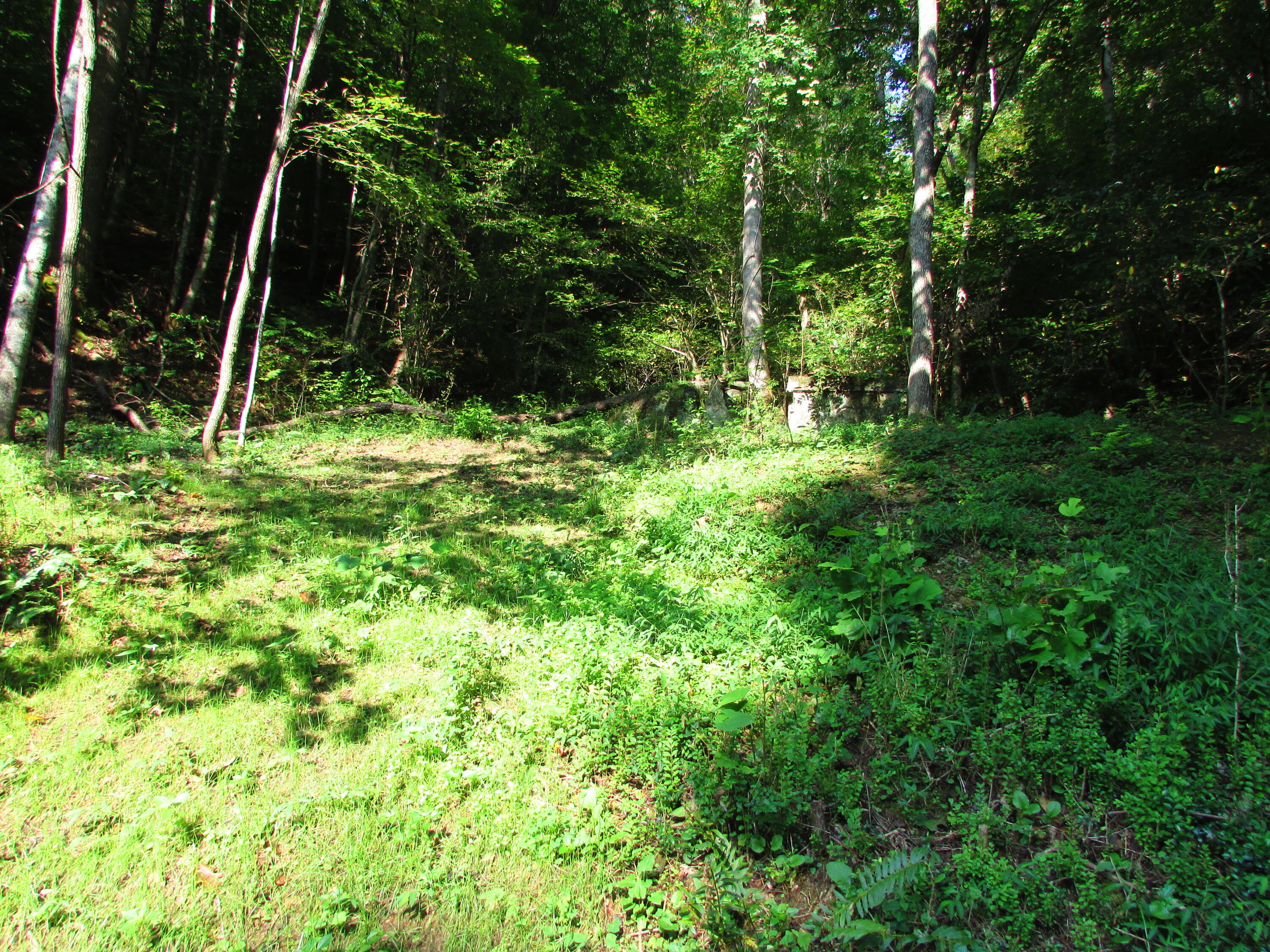 180 Simerly Creek Road Hampton, TN 37658 - Photo 18 of 22 180 simerly creek road, hampton tn 37658