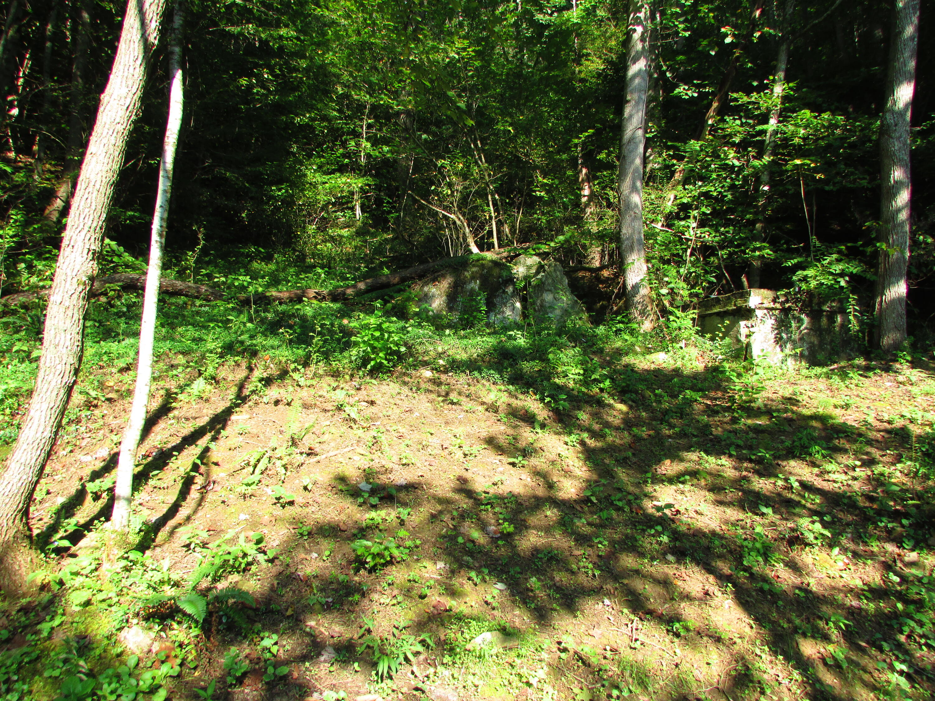 180 Simerly Creek Road Hampton, TN 37658 - Photo 19 of 22 180 simerly creek road, hampton tn 37658