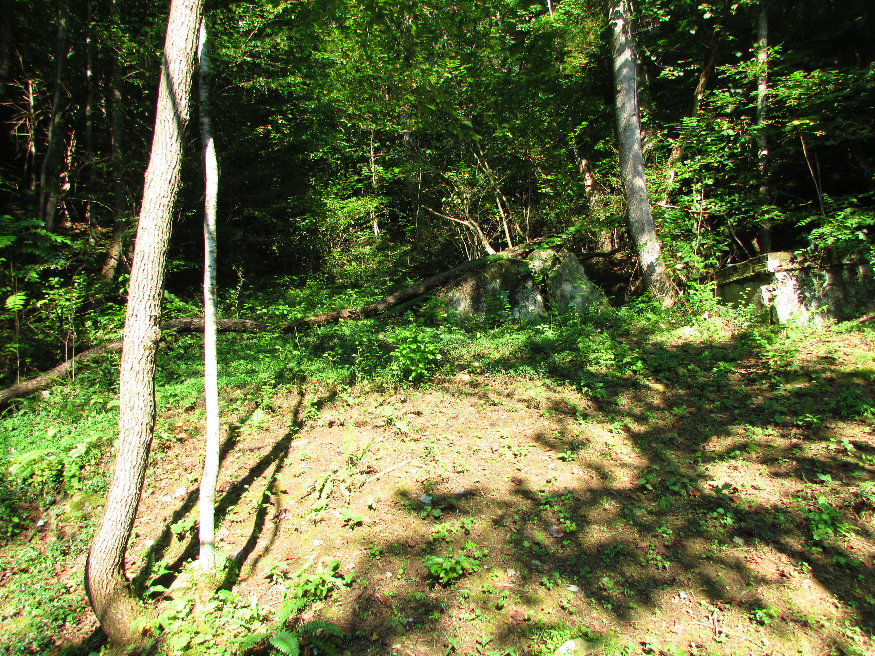 180 Simerly Creek Road Hampton, TN 37658 - Photo 20 of 22 180 simerly creek road, hampton tn 37658