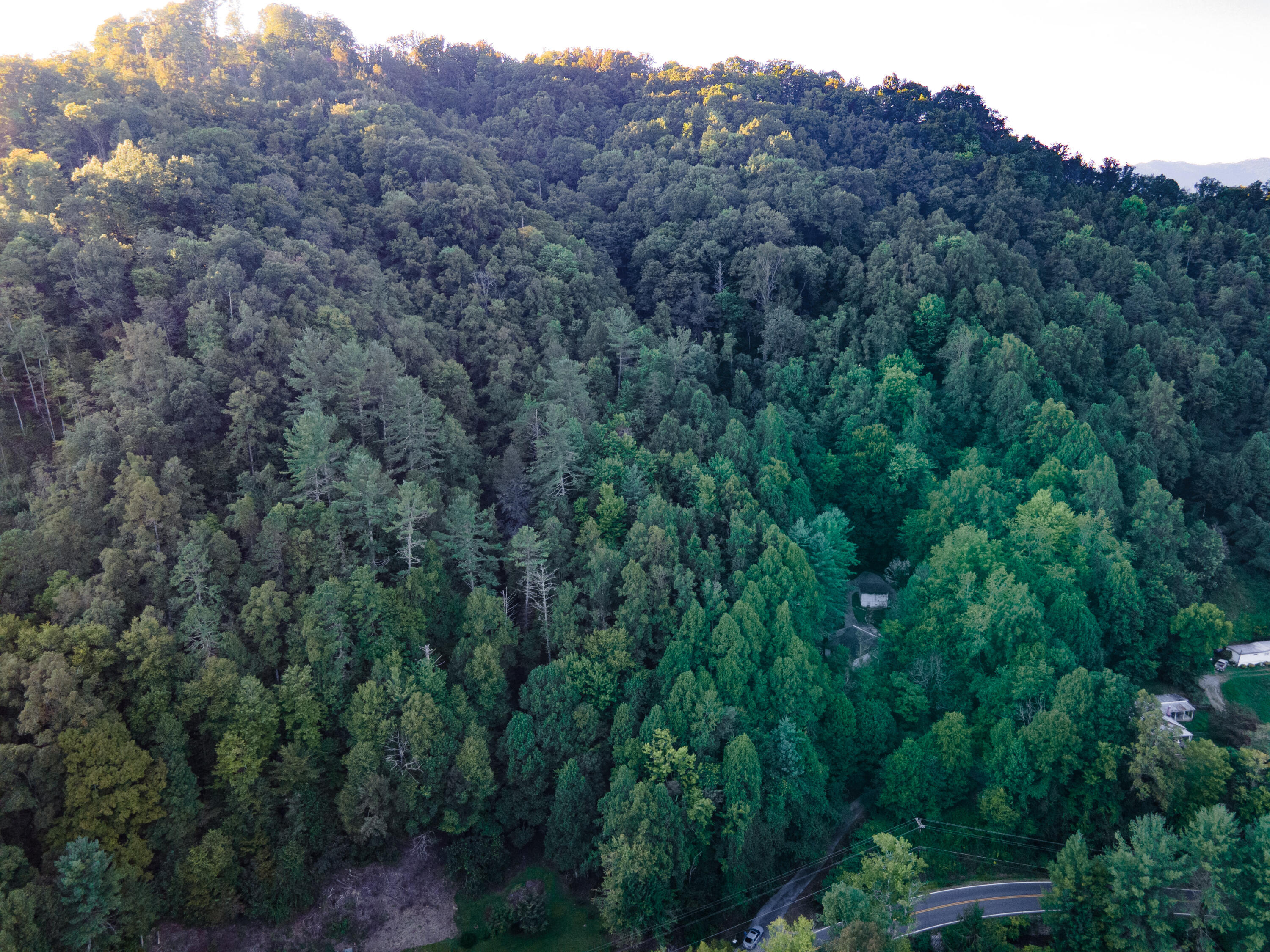 180 Simerly Creek Road Hampton, TN 37658 - Photo 2 of 22 180 simerly creek road, hampton tn 37658