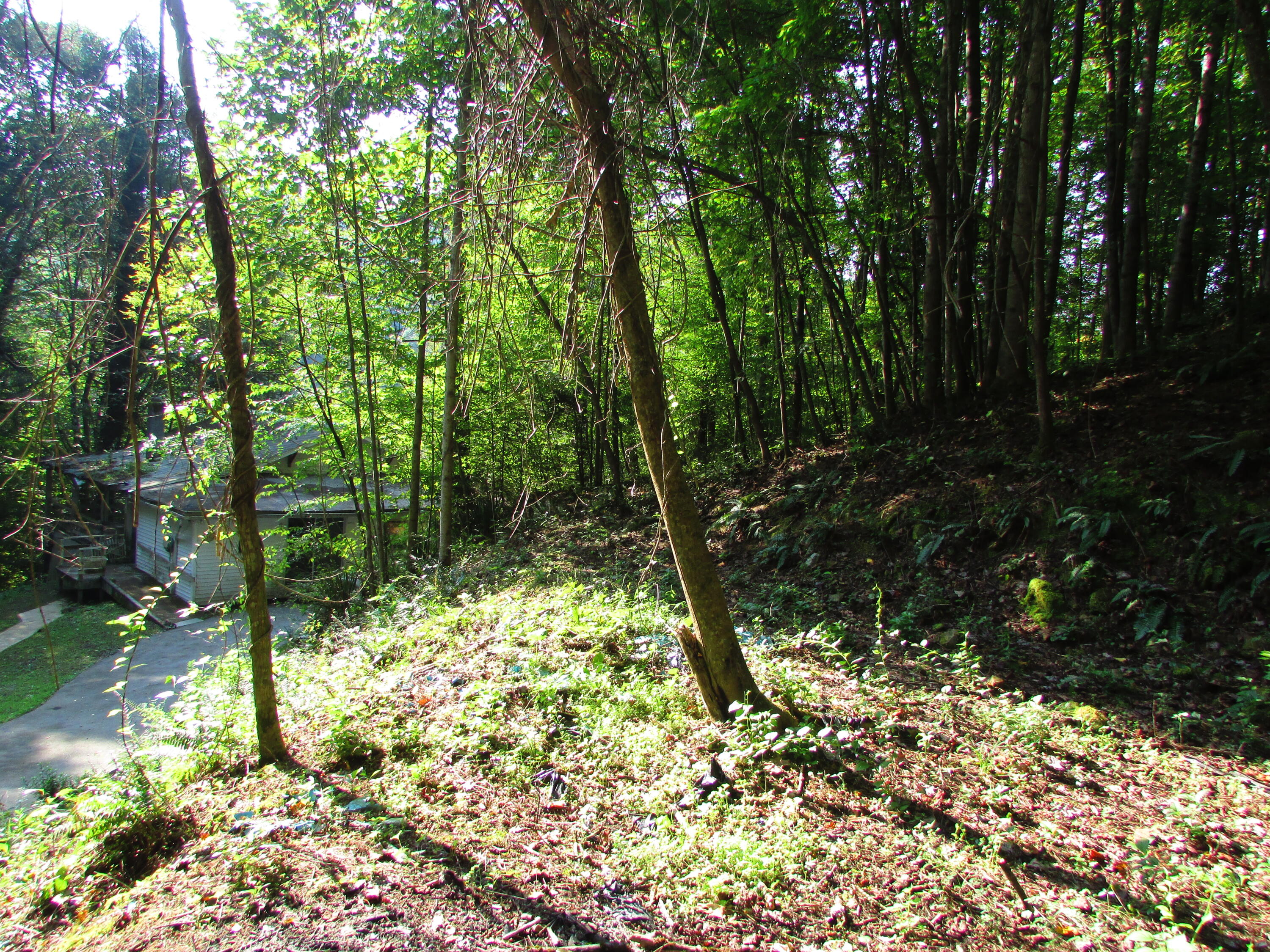 180 Simerly Creek Road Hampton, TN 37658 - Photo 21 of 22 180 simerly creek road, hampton tn 37658