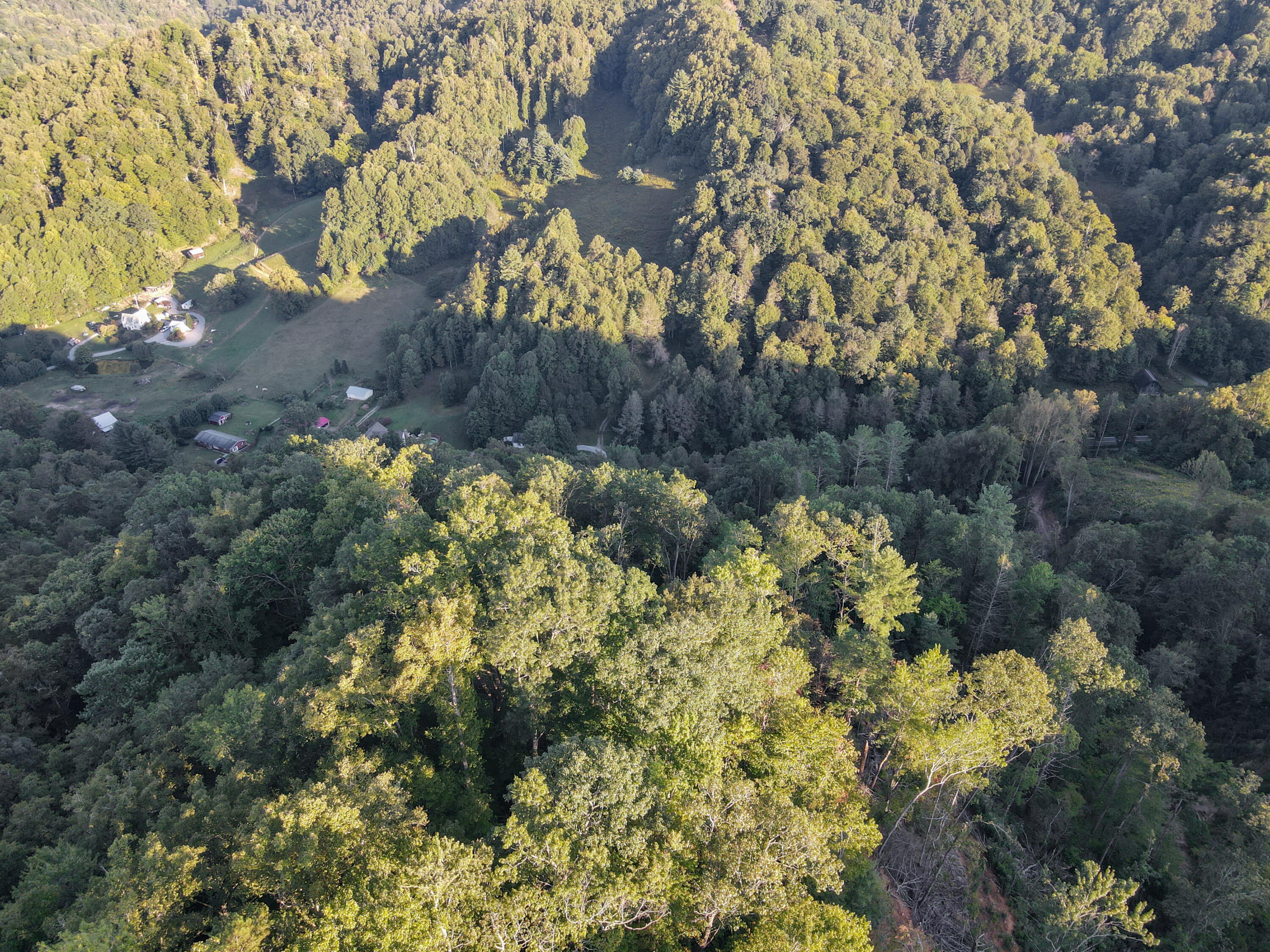 180 Simerly Creek Road Hampton, TN 37658 - Photo 5 of 22 180 simerly creek road, hampton tn 37658