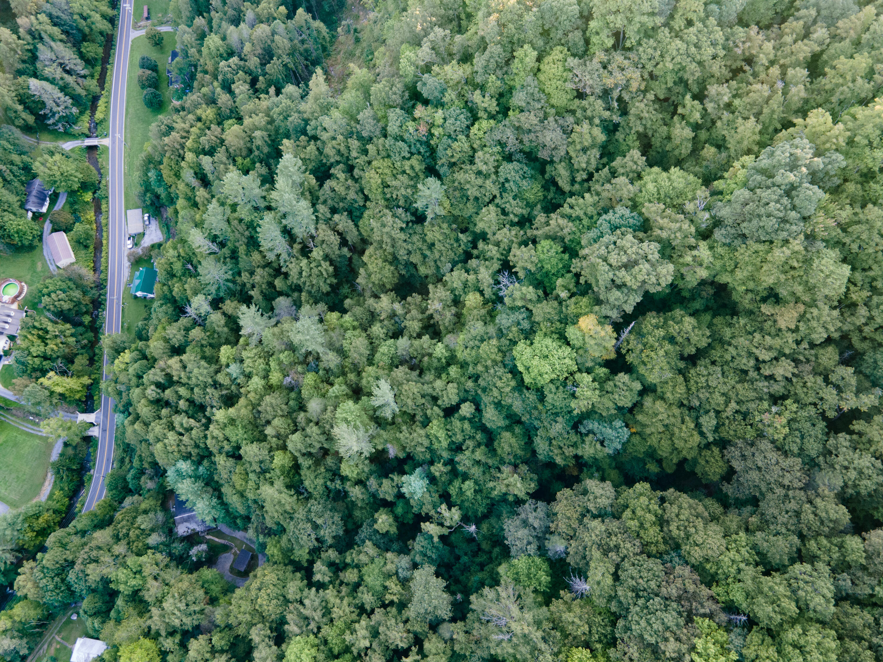 180 Simerly Creek Road Hampton, TN 37658 - Photo 6 of 22 180 simerly creek road, hampton tn 37658