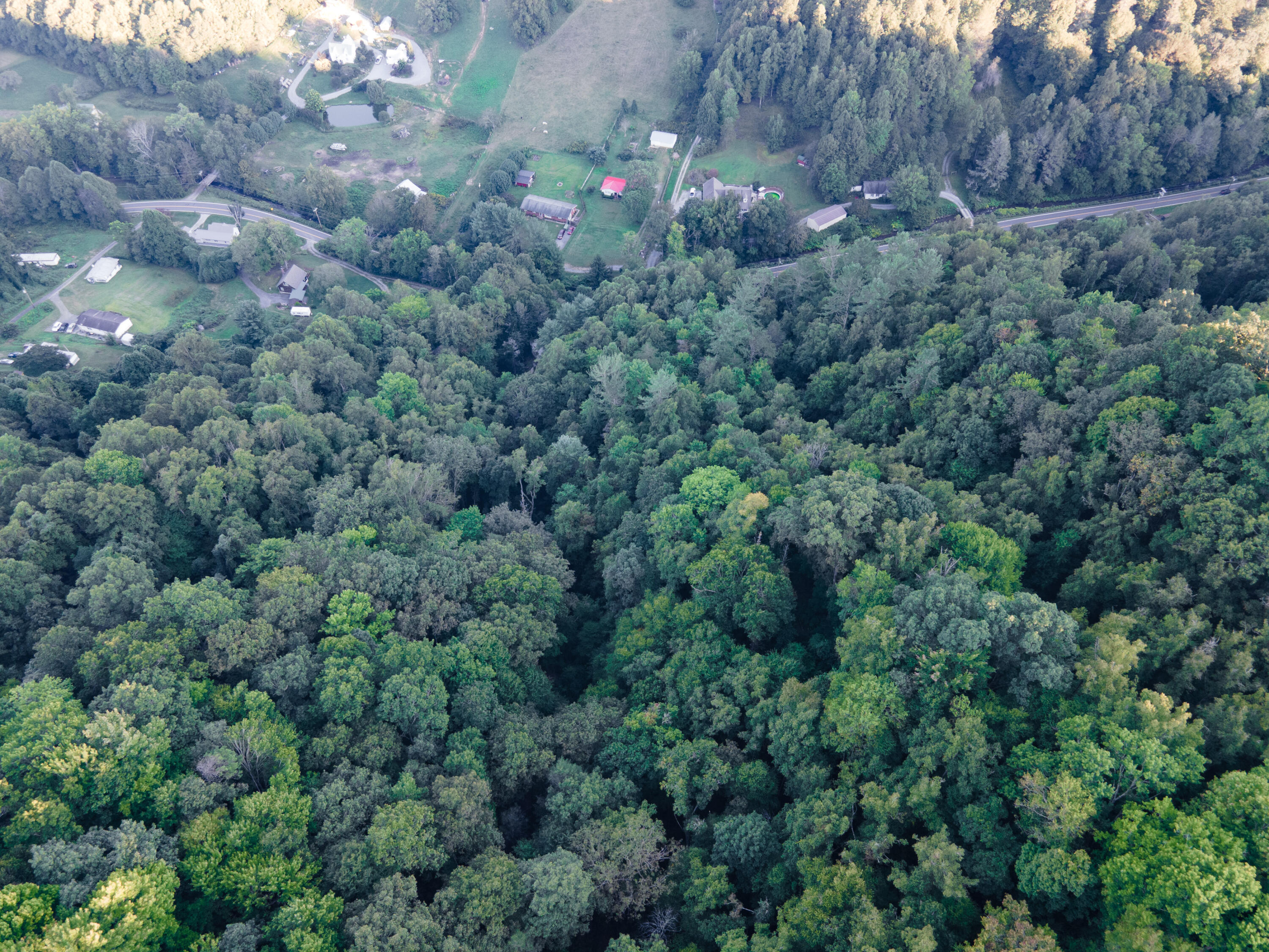 180 Simerly Creek Road Hampton, TN 37658 - Photo 7 of 22 180 simerly creek road, hampton tn 37658