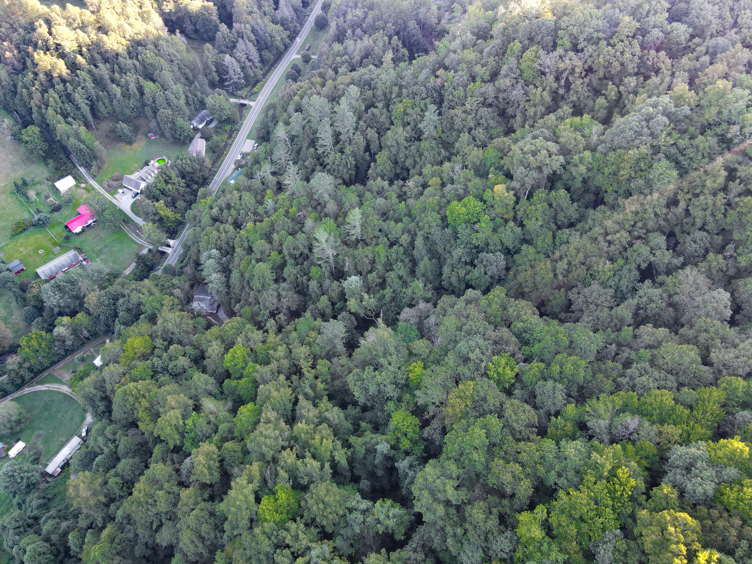 180 Simerly Creek Road Hampton, TN 37658 - Photo 8 of 22 180 simerly creek road, hampton tn 37658