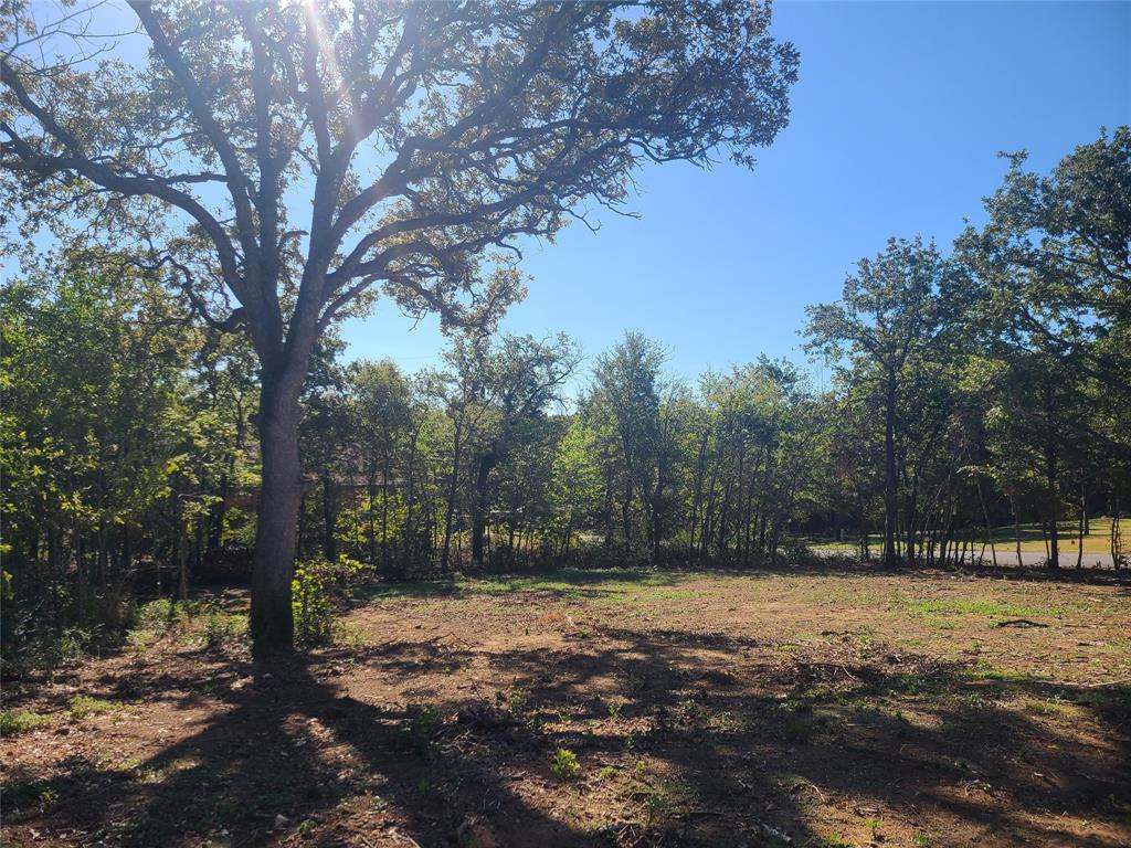 521 Bronco Trail Oak Point, TX 75068 - Photo 6 of 6 a view of outdoor space with trees
