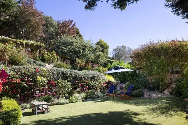 a view of a garden with an outdoor space