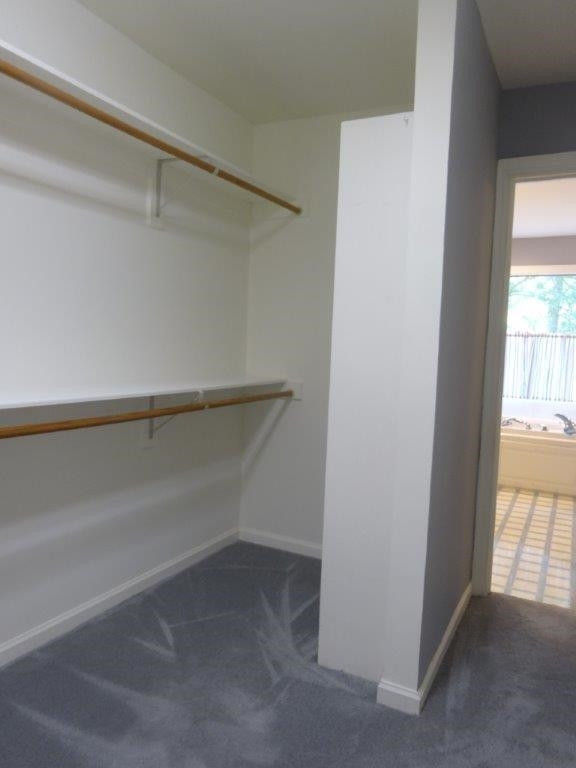 3717 Swarthmore Road Durham, NC 27707 - Photo 12 of 24 Photo 12