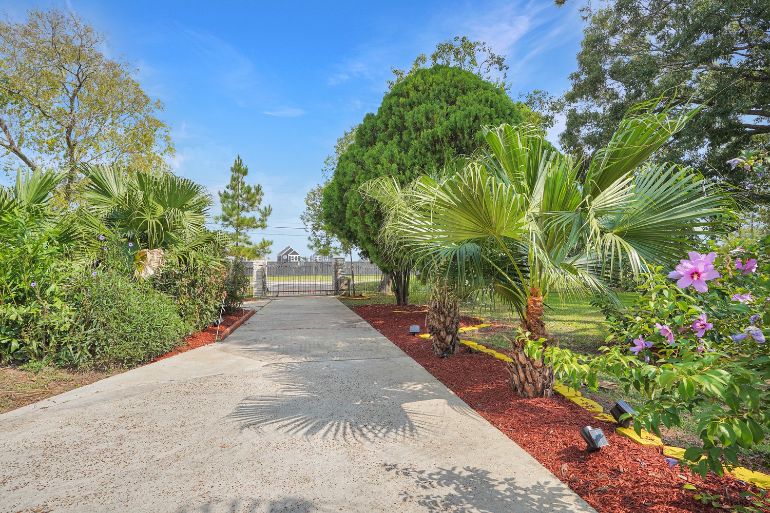 4920 Almeda Genoa Road Houston, TX 77048 - Photo 25 of 29 a view of a garden with plants