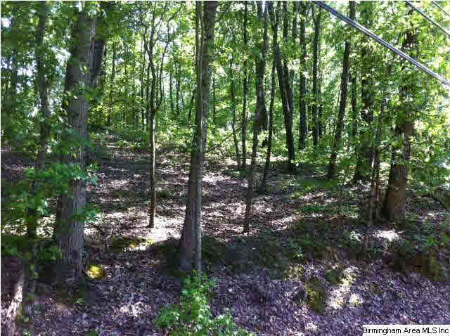 3021 Karl Daly Road, Unit 1 Birmingham, AL 35210 - Photo 3 of 10