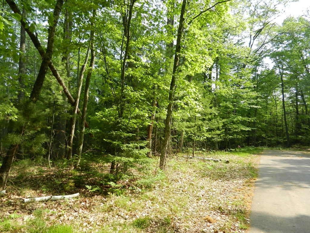 Three Timberlane Road Three Lakes, WI 54562 - Photo 5 of 6 Gallery Image 5