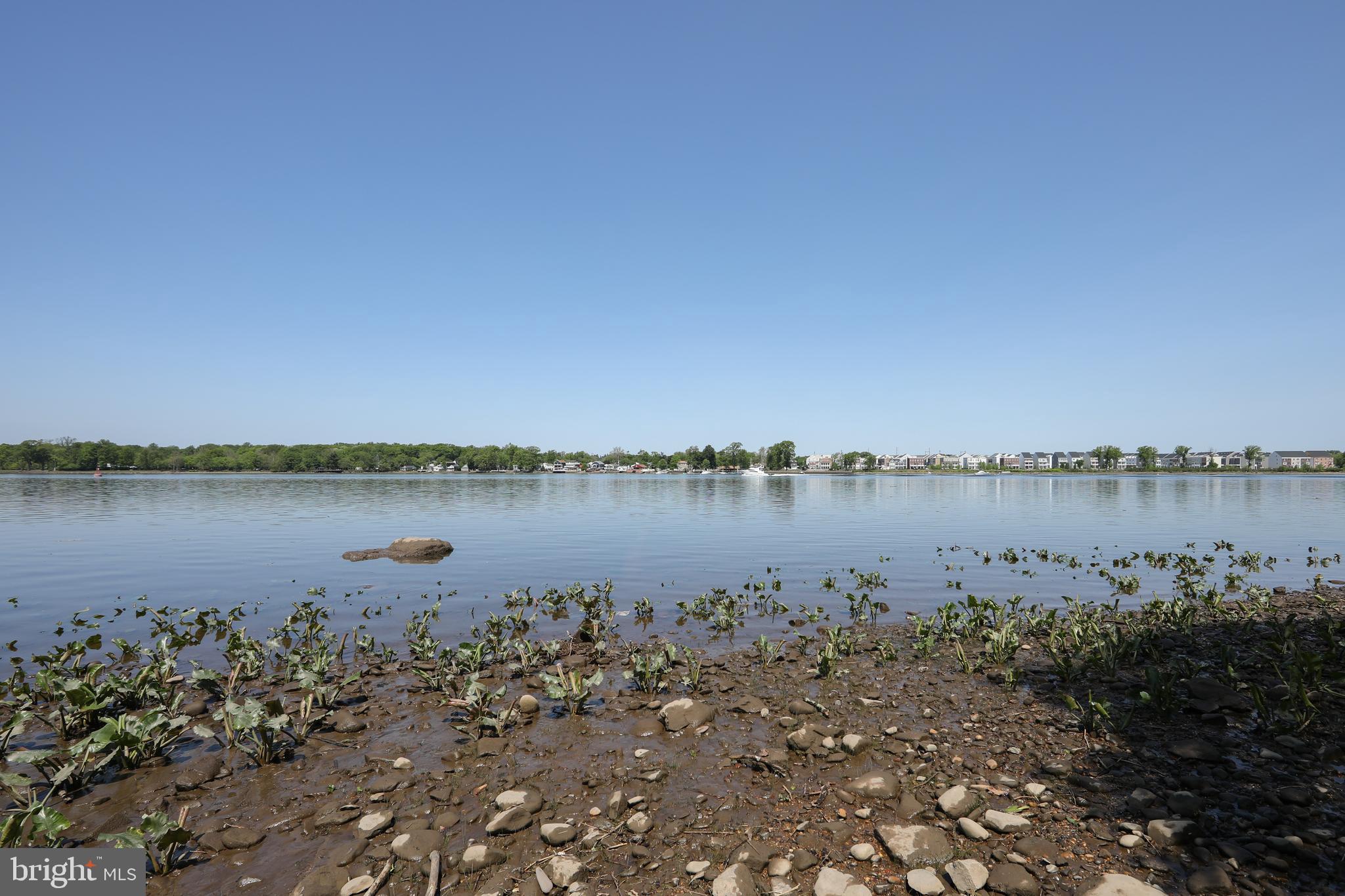 1 River Lane Riverside, NJ 08075 - Photo 23 of 23 View of the delaware river from path/common area