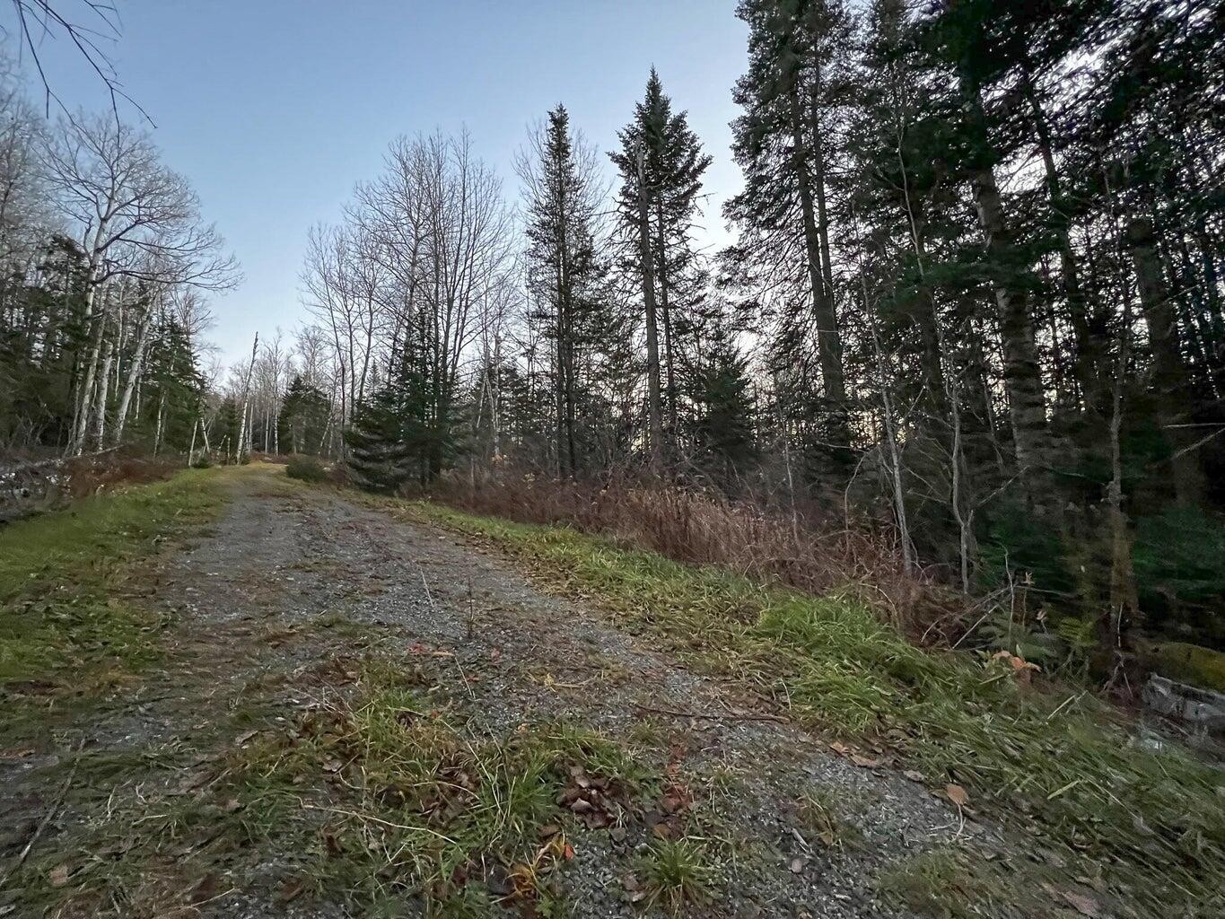Lot 16 Mill Brook Road Sandy River Plt, ME 04970 - Photo 9 of 44