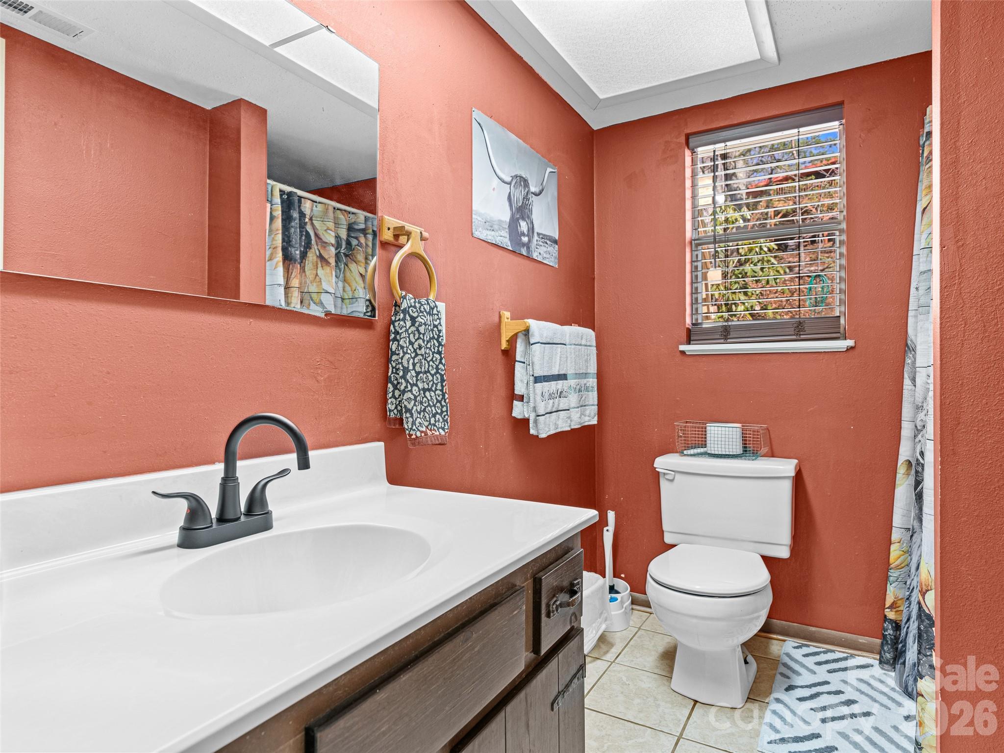 174 Pleasant Ridge Drive Maggie Valley, NC 28751 - Photo 34 of 45 a bathroom with a sink a toilet and mirror