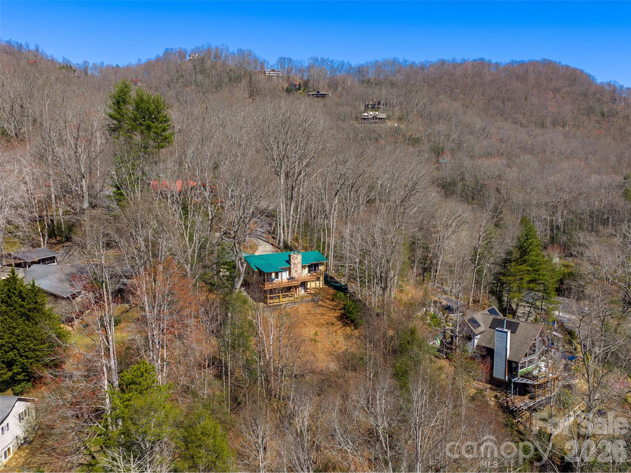 174 Pleasant Ridge Drive Maggie Valley, NC 28751 - Photo 41 of 45 a view of a dry yard with trees