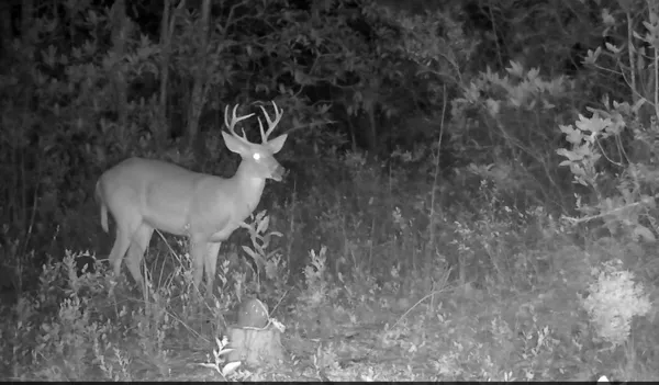 $697,000 | 0 Almaden, San Jose, CA 95120